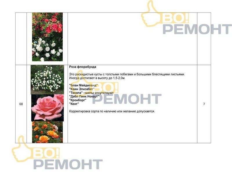 Проект благоустройства территории-102